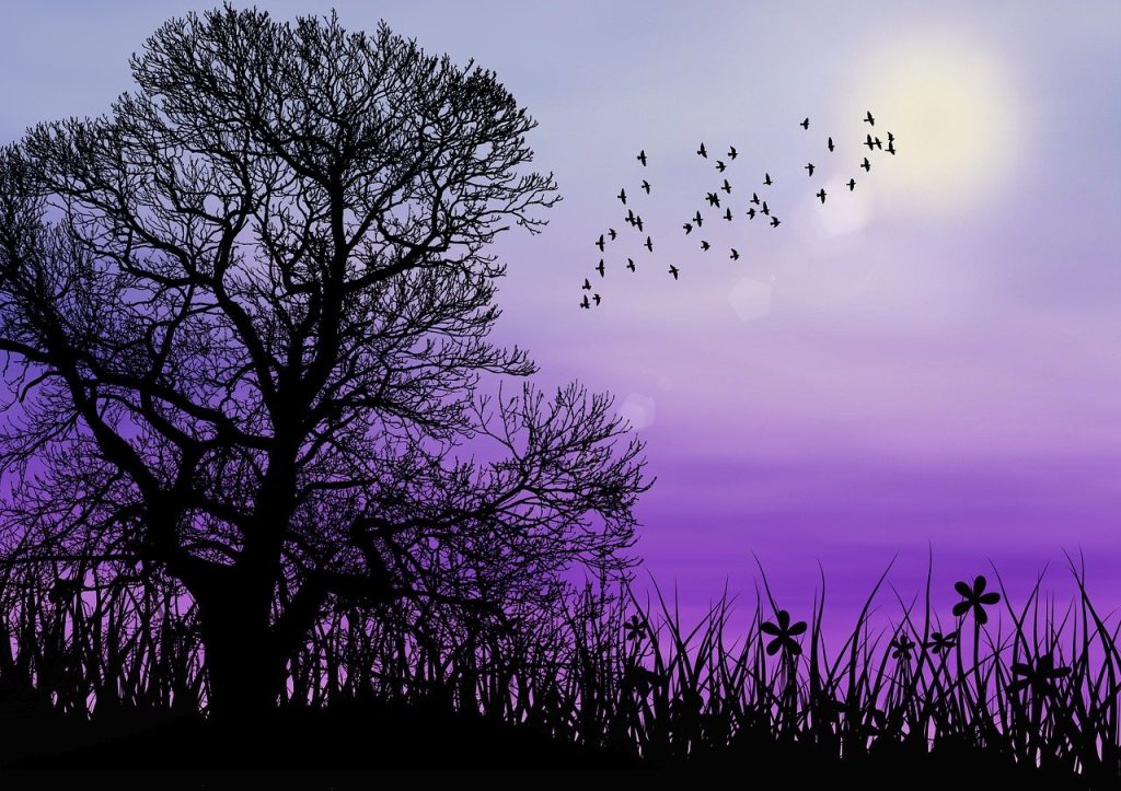 calm compassionate approach in IFS therapy