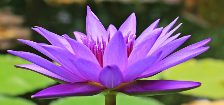 Compassionate and warm support using Internal Family