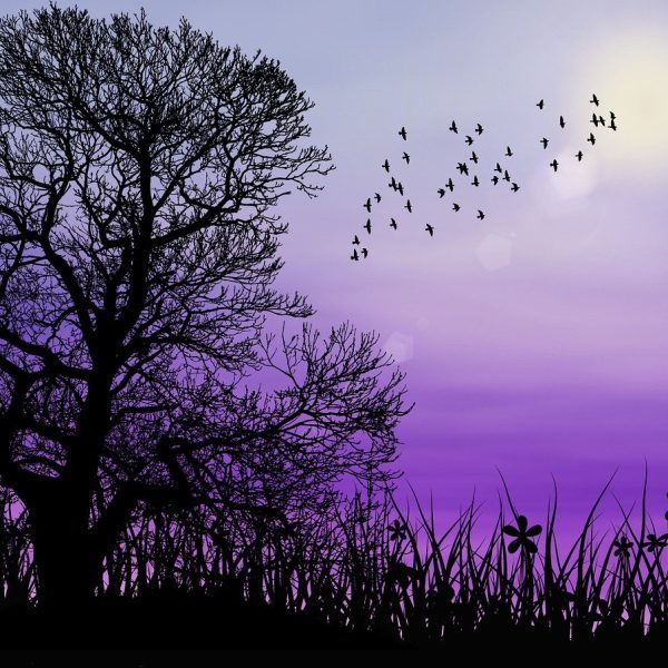 calm compassionate approach in IFS therapy
