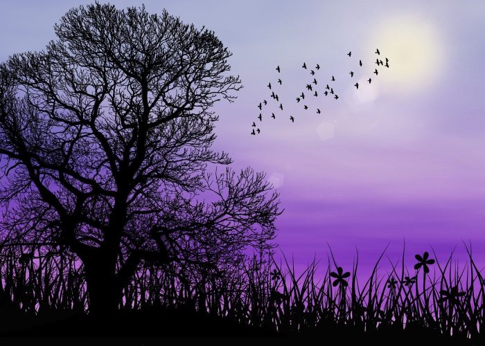 calm compassionate approach in IFS therapy